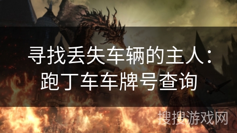 寻找丢失车辆的主人：跑丁车车牌号查询