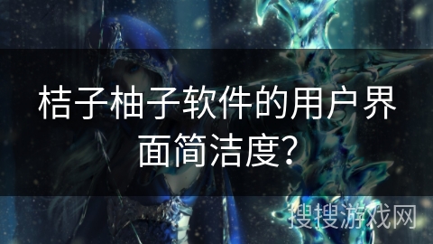 桔子柚子软件的用户界面简洁度？