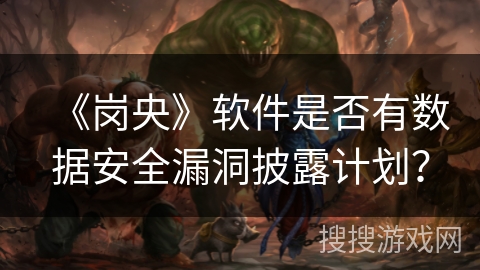 《岗央》软件是否有数据安全漏洞披露计划？