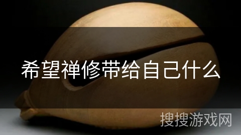 希望禅修带给自己什么