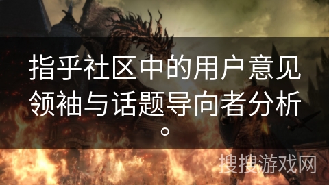 指乎社区中的用户意见领袖与话题导向者分析。