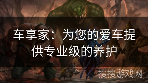 车享家：为您的爱车提供专业级的养护