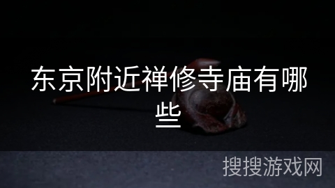 东京附近禅修寺庙有哪些