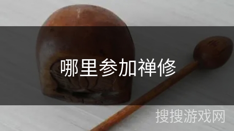 哪里参加禅修