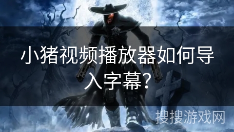 小猪视频播放器如何导入字幕？
