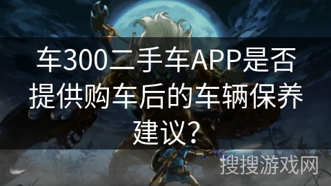 车300二手车APP是否提供购车后的车辆保养建议？