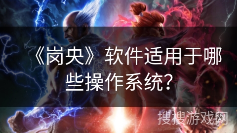 《岗央》软件适用于哪些操作系统？