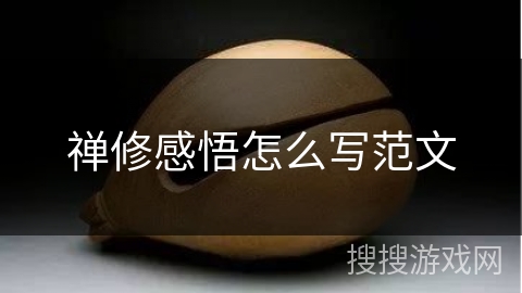 禅修感悟怎么写范文