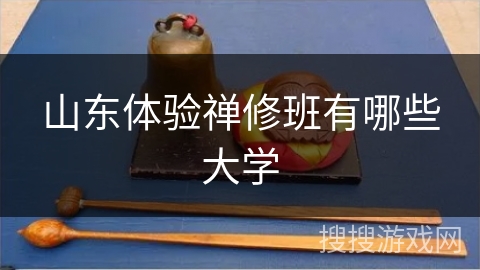 山东体验禅修班有哪些大学