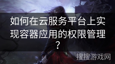 如何在云服务平台上实现容器应用的权限管理？