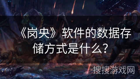 《岗央》软件的数据存储方式是什么？