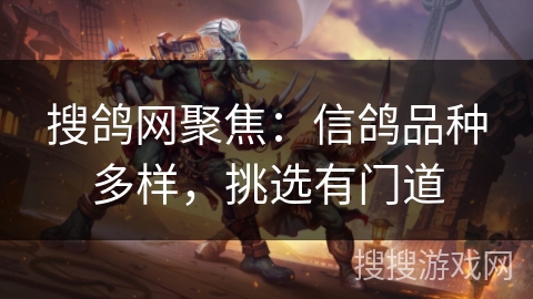 搜鸽网聚焦：信鸽品种多样，挑选有门道