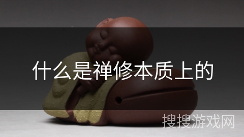 什么是禅修本质上的