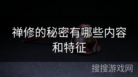 禅修的秘密有哪些内容和特征