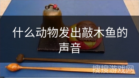 什么动物发出敲木鱼的声音