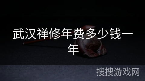 武汉禅修年费多少钱一年
