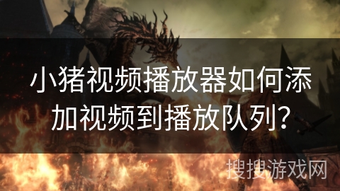 小猪视频播放器如何添加视频到播放队列？