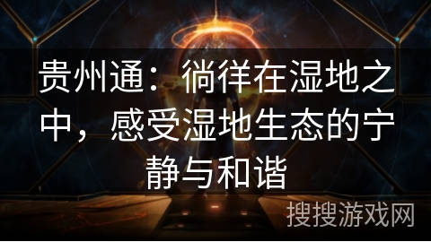 贵州通：徜徉在湿地之中，感受湿地生态的宁静与和谐