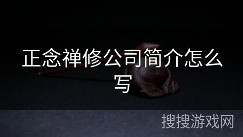 正念禅修公司简介怎么写