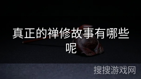真正的禅修故事有哪些呢