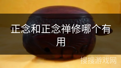 正念和正念禅修哪个有用