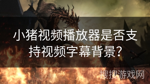 小猪视频播放器是否支持视频字幕背景？