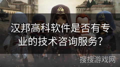 汉邦高科软件是否有专业的技术咨询服务？