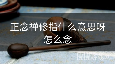 正念禅修指什么意思呀怎么念