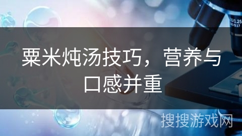 粟米炖汤技巧，营养与口感并重
