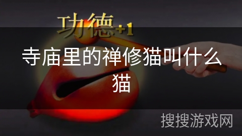 寺庙里的禅修猫叫什么猫