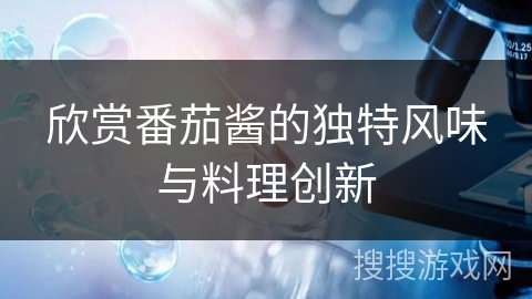 欣赏番茄酱的独特风味与料理创新