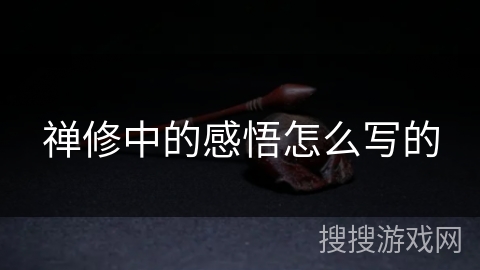 禅修中的感悟怎么写的
