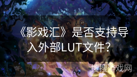 《影戏汇》是否支持导入外部LUT文件？