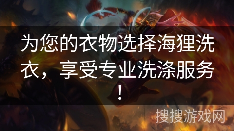 为您的衣物选择海狸洗衣，享受专业洗涤服务！