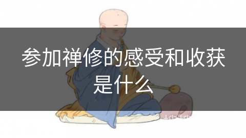 参加禅修的感受和收获是什么