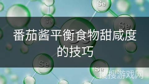 番茄酱平衡食物甜咸度的技巧