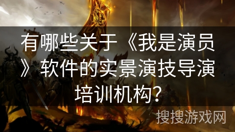 有哪些关于《我是演员》软件的实景演技导演培训机构？