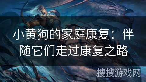 小黄狗的家庭康复：伴随它们走过康复之路