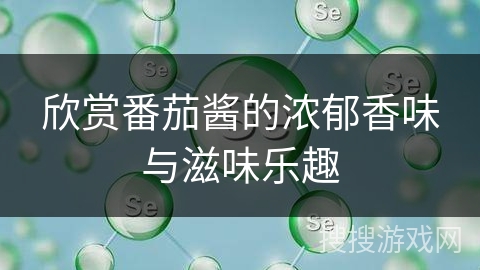 欣赏番茄酱的浓郁香味与滋味乐趣