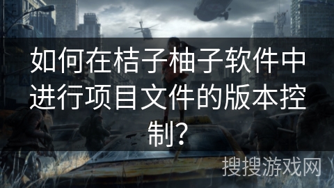 如何在桔子柚子软件中进行项目文件的版本控制？