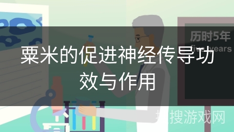 粟米的促进神经传导功效与作用