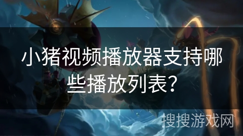 小猪视频播放器支持哪些播放列表？