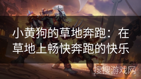小黄狗的草地奔跑：在草地上畅快奔跑的快乐