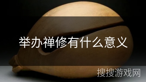 举办禅修有什么意义