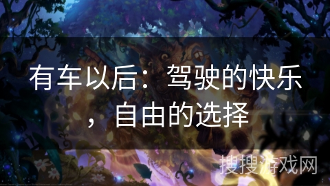 有车以后：驾驶的快乐，自由的选择