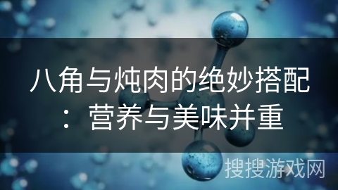八角与炖肉的绝妙搭配：营养与美味并重