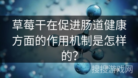 草莓干在促进肠道健康方面的作用机制是怎样的？