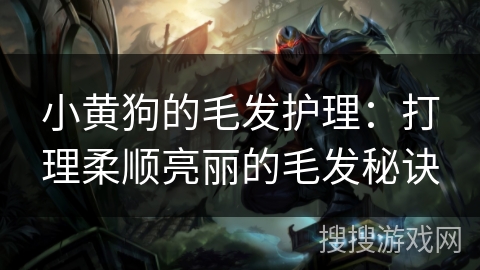小黄狗的毛发护理：打理柔顺亮丽的毛发秘诀