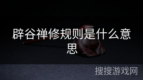 辟谷禅修规则是什么意思