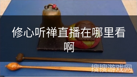 修心听禅直播在哪里看啊